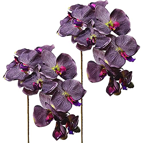Kuppn Künstliche Orchidee, 10 Köpfe, Violett, 54 cm, Seide, Phalaenopsis-Blume, fühlt sich echt an, Schmetterling-Orchidee, Latex-Orchideen für Zuhause, Büro, Hochzeit, Dekoration, 2 Stück von Kuppn
