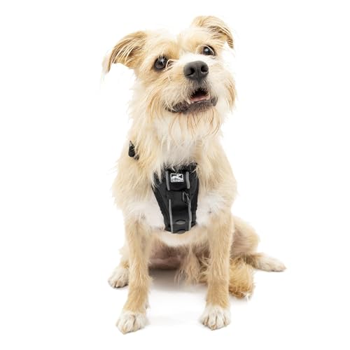 Kurgo TRU-Fit – Intelligentes Hundegeschirr, Trainingsgeschirr, Anti-Zieh-Geschirr inkl. Sicherheitsgurt – Schwarz, S von Kurgo