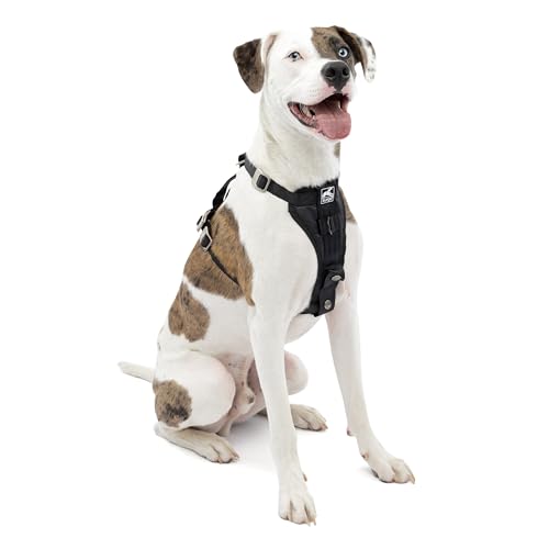 Kurgo TRU-Fit Hundegeschirr, Crash-Test-erprobtes Auto-Sicherheitsgurt, Für Hunde von 2 bis 5 kg, Größe M, Schwarz Kurgo TRU-Fit Hundegeschirr, Crash-Test-erprobtes Auto-Sicherheitsgurt, Für Hunde von 2 bis 5 kg, Größe M, Schwarz von Kurgo