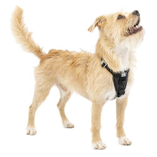 Kurgo Tru-Fit Hundegeschirr, Crash-Test-erprobtes Auto-Sicherheitsgurt, Für Hunde von 2 bis 5 kg, Größe XS, Schwarz Kurgo Tru-Fit Hundegeschirr, Crash-Test-erprobtes Auto-Sicherheitsgurt, Für Hunde von 2 bis 5 kg, Größe XS, Schwarz von Kurgo