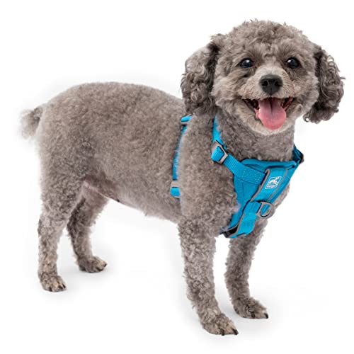 Kurgo Hundegeschirr, Haustiergeschirr, Autogeschirr für Hunde, D-Ring vorne für kein Zieh-Training, inklusive Sicherheitsgurt-Haltegurt, TRU-Fit Smart Geschirr, Blau, Größe XS Kurgo Hundegeschirr, Haustiergeschirr, Autogeschirr für Hunde, D-Ring vorne für kein Zieh-Training, inklusive Sicherheitsgurt-Haltegurt, TRU-Fit Smart Geschirr, Blau, Größe XS von Kurgo