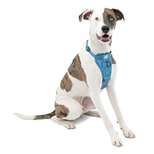 Kurgo TRU-Fit Smart Dog Walking Harness – Bequeme Passform – verstellbares Geschirr – reflektierende Haustierkleidung – Schnellverschluss – Zubehör für den täglichen Spaziergang – inklusive von Kurgo