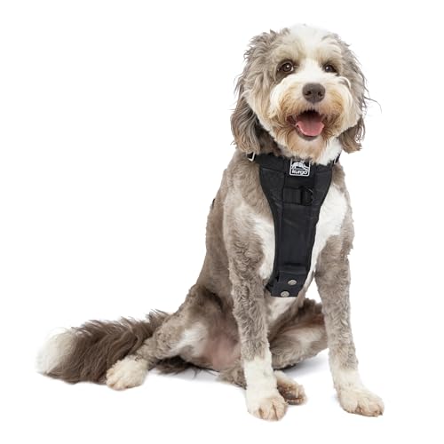 Kurgo Enhanced Tru-Fit Hundegeschirr, Crash-Test-erprobtes Auto-Sicherheitsgurt, Für Hunde von 34 bis 47 kg, Größe XL, Schwarz von Kurgo