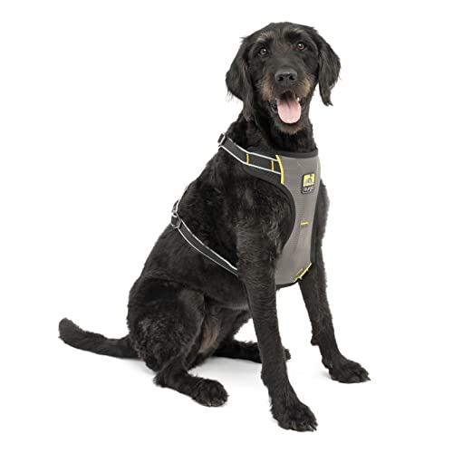 Kurgo Impact Hunde-Autogeschirr, Crashtest-geprüft für mehr Sicherheit, Für Hunde von 34-47 kg geeignet, Größe XL, Schwarz von Kurgo