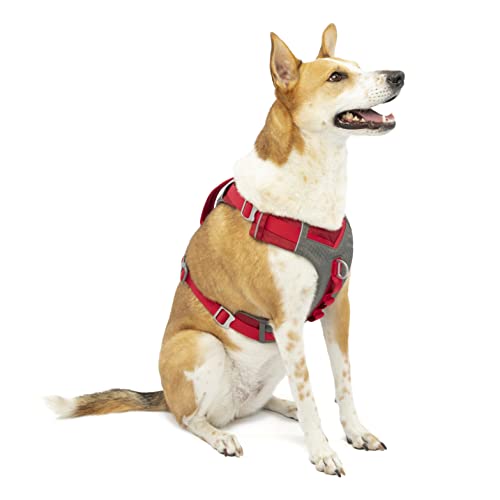 Kurgo Journey Air Hundegeschirr, Mit gepolstertem Brustteil und Rückgriff, Für Hunde von 34-47 kg, Größe XL, Rot/Grau Kurgo Journey Air Hundegeschirr, Mit gepolstertem Brustteil und Rückgriff, Für Hunde von 34-47 kg, Größe XL, Rot/Grau von Kurgo