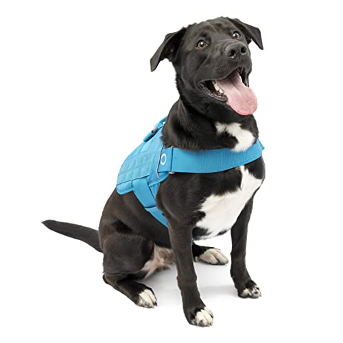 Kurgo Townie RSG – Hundegeschirr, Trainingsweste für Hunde, mit Griff, reflektierend, kompatibel mit MOLLE – Blau, L von Kurgo