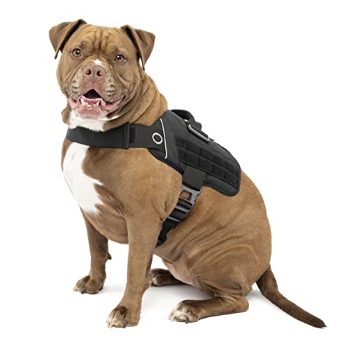 Kurgo Townie RSG – Hundegeschirr, Trainingsweste für Hunde, mit Griff, reflektierend, kompatibel mit MOLLE – Schwarz, L von Kurgo