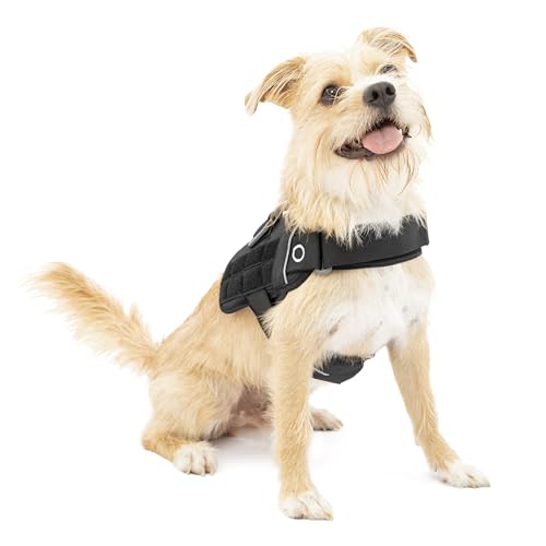 Kurgo Townie RSG – Hundegeschirr, Trainingsweste für Hunde, mit Griff, reflektierend, kompatibel mit MOLLE – Schwarz, S Kurgo Townie RSG – Hundegeschirr, Trainingsweste für Hunde, mit Griff, reflektierend, kompatibel mit MOLLE – Schwarz, S von Kurgo