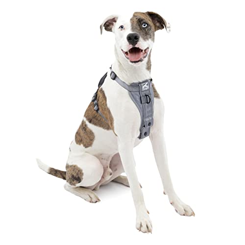 Kurgo TRU-Fit Smart Dog Walking Harness – Bequeme Passform – verstellbares Geschirr – reflektierende Haustierkleidung – Schnellverschluss – Zubehör für den täglichen Spaziergang – inklusive von Kurgo