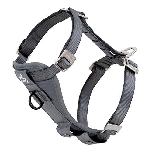 Kurgo TRU-Fit Autosicherheitsgeschirr für Hunde, Mit gepolstertem Brustteil und D-Ring, Mit Autogurt, Größe L, Grau Kurgo TRU-Fit Autosicherheitsgeschirr für Hunde, Mit gepolstertem Brustteil und D-Ring, Mit Autogurt, Größe L, Grau von Kurgo
