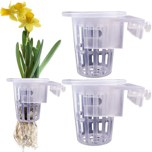 Kustimantu Aquarium-Pflanzenhalter - 2 Stück Wasserpflanzenbecher und Halter | Aquarium-Blumentopf mit Löchern, transparenter Aquarium-Pothos-Halter für den Anbau von Wasserpflanzen, von Kustimantu