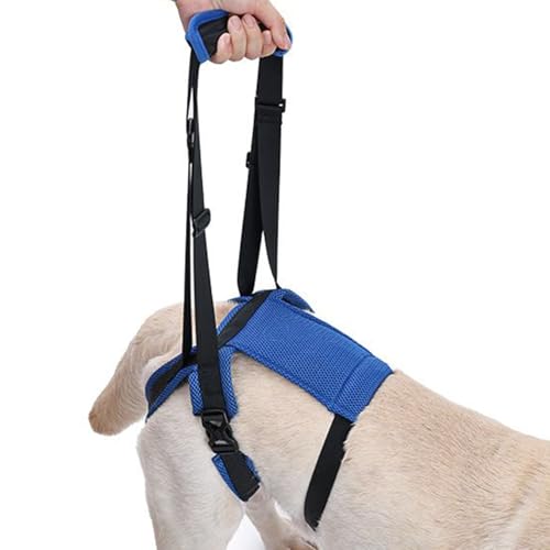 Kustimantu Hundetragehilfe für die Hinterbeine | Tragesling für Kleintiere mit Beinstütze,Einstellbare Gehhilfe Zur Hüftunterstützung Für Stehen Und Kustimantu Hundetragehilfe für die Hinterbeine | Tragesling für Kleintiere mit Beinstütze,Einstellbare Gehhilfe Zur Hüftunterstützung Für Stehen Und von Kustimantu