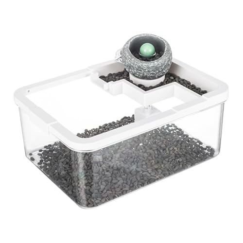 Kustimantu Kleines Aquarium mit integriertem Filter und Beleuchtung | Büro-Aquarium-Design – Hydroponik-System mit USB-Pumpe für Kampffische, Garnelen und Quallen von Kustimantu