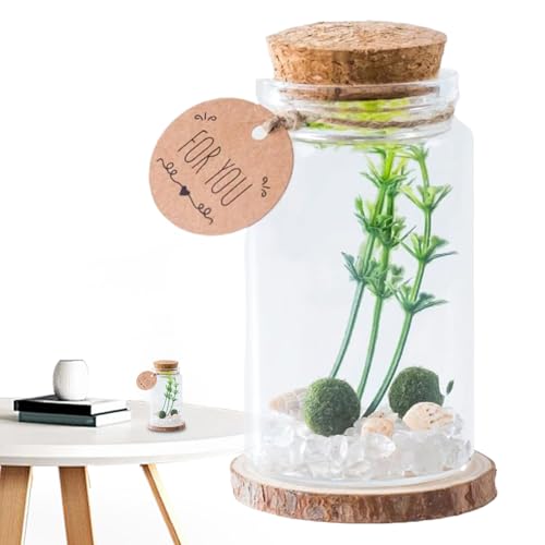 Kustimantu Mini-Flaschen, Behälter aus Glas | kleiner Miniaturtopf mit Holzstopfen für die Aufbewahrung von elegantem Handwerk, Dekoration für Haus, Küche, Familie, Büro, Wünsche Kustimantu Mini-Flaschen, Behälter aus Glas | kleiner Miniaturtopf mit Holzstopfen für die Aufbewahrung von elegantem Handwerk, Dekoration für Haus, Küche, Familie, Büro, Wünsche von Kustimantu