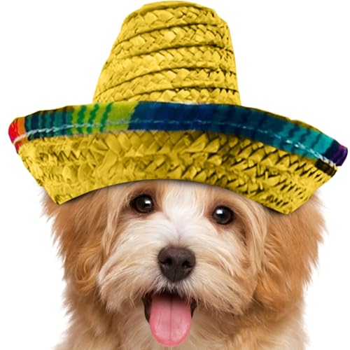 Kustimantu Mini Sombreros | Geflochtene Partyhüte,Großkrempige Deko Stirnband Für Kinder Und Haustiere von Kustimantu