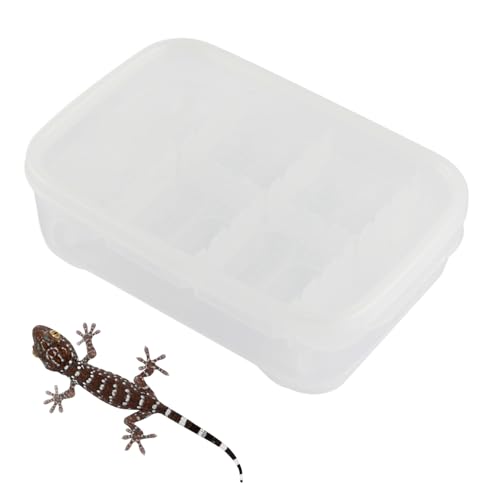 Kustimantu Reptilien-Eier-Inkubator - 14-Fach Gecko Brutbox | Transparente Zuchtbox Reptilien Für Klettern Transport Zuhause Innenbereich Spinnen Skorpione Kustimantu Reptilien-Eier-Inkubator - 14-Fach Gecko Brutbox | Transparente Zuchtbox Reptilien Für Klettern Transport Zuhause Innenbereich Spinnen Skorpione von Kustimantu