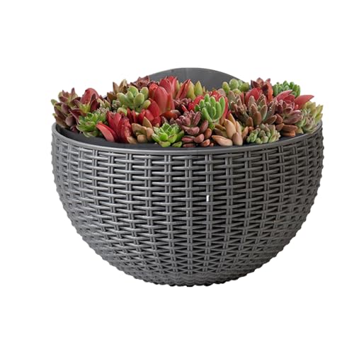 Kustimantu Wand-Blumentopf, Wand-Blumentopf, Rattanimitat, eleganter Behälter für den Innenbereich, modernes Ornament für Petunien, Impatiens, Pothos, Orchideen, Begonien Kustimantu Wand-Blumentopf, Wand-Blumentopf, Rattanimitat, eleganter Behälter für den Innenbereich, modernes Ornament für Petunien, Impatiens, Pothos, Orchideen, Begonien von Kustimantu
