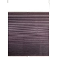 Kutti Wabenplissee "Blake" verdunkelnd energiesparend ohne Bohren verspannt Thermo, energiesparend, beschichtet, abdunkelnd, isolierend Kutti Wabenplissee "Blake" verdunkelnd energiesparend ohne Bohren verspannt Thermo, energiesparend, beschichtet, abdunkelnd, isolierend von Kutti