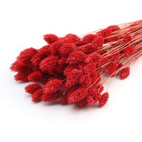 Rote Getrocknete Phalaris | Rotes Kanariengras Getrocknetes Gras Getrocknete Blumen Dekor Weihnachten Hochzeit Brautstrauß Neues Zuhause von KviatArt