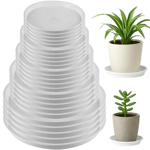 50 Packungen 4/6/8/10/12 Zoll Kunststoff Pflanzen-Untersetzer für drinnen und draußen, Pflanzen-Wasserauffangschale für Töpfe, Bulk Blumentopf-Untersetzer, Tropfschalen für Topfpflanzen, runde Teller 50 Packungen 4/6/8/10/12 Zoll Kunststoff Pflanzen-Untersetzer für drinnen und draußen, Pflanzen-Wasserauffangschale für Töpfe, Bulk Blumentopf-Untersetzer, Tropfschalen für Topfpflanzen, runde Teller von KvyusFlourish