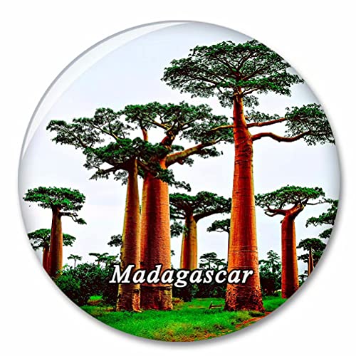 Madagaskar Kühlschrank Magnete Dekorative Magnet Flaschenöffner Tourist City Travel Souvenir Collection Geschenk Starker Kühlschrank Aufkleber von Desert Eagle