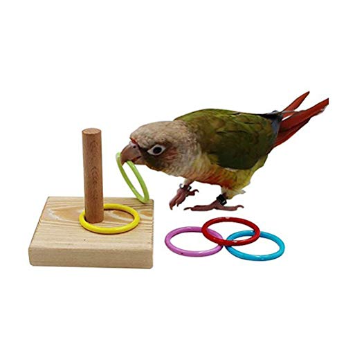 Kylewo Vogel Trick Tabletop Spielzeug, Training Basketball Stapeln Farbe Ring Spielzeug Sets, Papagei Training Spielzeug für kleine mittlere Papagei von Kylewo