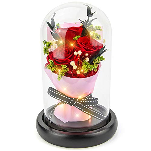 Kylin Glory Forever Flowers Echte Ewige Rosen konservierte Blumen Geschenk mit LED Stimmungslichter für Valentinstag Geburtstag Jahrestag (Grande Red) von Kylin Glory