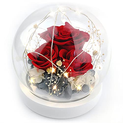 Kylin Glory Forever Flowers Konservierte Rosen Geschenk für Frauen Mutter Freundin Frau - Frische Echte Rosen Ewige Blumen Elegantes Geschenk für Valentinstag Geburtstag Jubiläum (Sparkle Red) von Kylin Glory