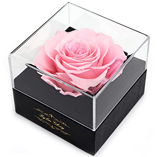 Kylin Glory Frische Schnittblume konservierte Rose für Frauen Mutter Frau Freundin - Blumengeschenk echte Rose Dekor für Muttertag Valentinstag Hochzeit Party Feier Geburtstag Jahrestag (Rosa) von Kylin Glory