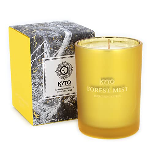 Kyto Duftkerze im Glas, Metallic-Look, Geschenkset, 45 Stunden Brenndauer, Duftnote: Citrus & Orange von Kyto