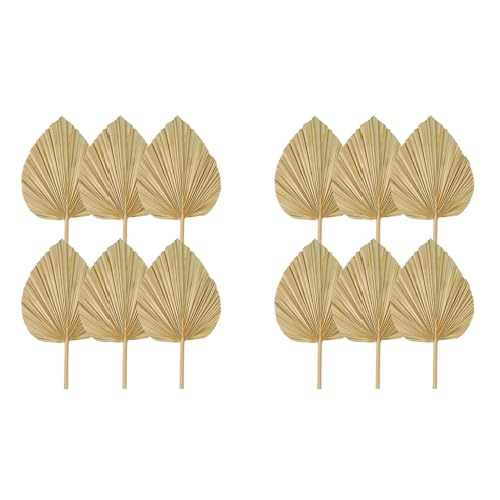 Kznifmk 12 Stück getrocknete Palmblätter, natürliche getrocknete , große Palme für Hochzeitsdekoration, Boho, Dekoration von tropischen Palmblättern, S Kznifmk 12 Stück getrocknete Palmblätter, natürliche getrocknete , große Palme für Hochzeitsdekoration, Boho, Dekoration von tropischen Palmblättern, S von Kznifmk