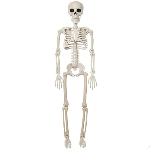 Kznifmk Halloween-Skelett-Dekoration, bewegliches Skelett mit beweglichen Gelenken, gruseliges Zubehör für , Garten, Rasen, Terrasse von Kznifmk