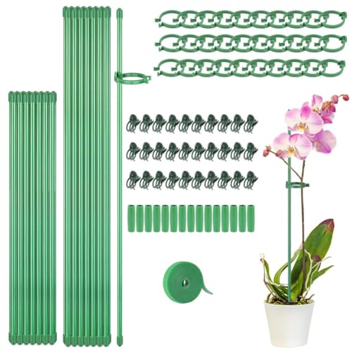 Kznifmk Set mit Heringen für Pflanzen, Stäbe für Pflanzen mit Verbindungsschlauch für Pflanzen im Innen- und Außenbereich, Pflanzenstütze, grün, verstellbar, einfache Installation Kznifmk Set mit Heringen für Pflanzen, Stäbe für Pflanzen mit Verbindungsschlauch für Pflanzen im Innen- und Außenbereich, Pflanzenstütze, grün, verstellbar, einfache Installation von Kznifmk