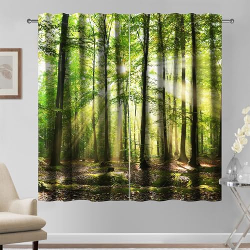 Kzzfqxb 107×215cm Waldvorhänge Set von 2 Paneelen, Natürliche Landschaft Grüner Dschungel Wald Sonnenlicht Bäume Gefallene Blätter Fenstervorhänge für Wohnzimmer Schlafzimmer, Frisch von Kzzfqxb