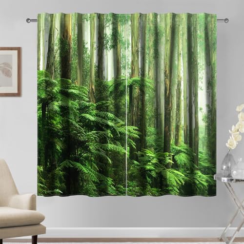 Kzzfqxb 132×214cm Waldvorhänge 2 Paneele, Grüner Wald Dschungel Üppige Büsche Sträucher Lebendige Bäume Tropischer Wald Waldhänge Fenstervorhänge für Wohnzimmer Schlafzimmer Ruhig Friedlich Still von Kzzfqxb
