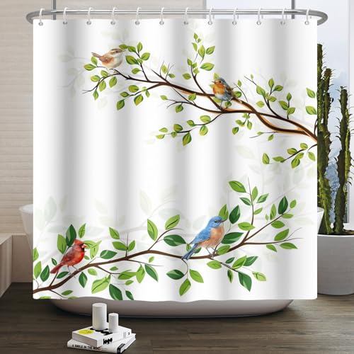 Kzzfqxb 183x183cm Duschvorhänge mit Kunststoffhaken, Weiß Hintergrund Gestreckte Äste mit Grünen Blättern Vögeln Muster Wasserdicht Verdeckt für Badewanne, Polyesterstoff Badezimmer Natur Dekoration Kzzfqxb 183x183cm Duschvorhänge mit Kunststoffhaken, Weiß Hintergrund Gestreckte Äste mit Grünen Blättern Vögeln Muster Wasserdicht Verdeckt für Badewanne, Polyesterstoff Badezimmer Natur Dekoration von Kzzfqxb