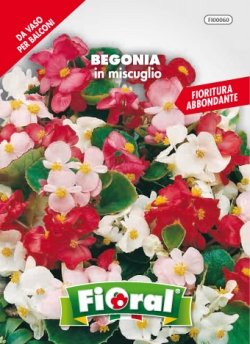Blumen-Saatgut in Tütchen für Amateur-Verwendung von L'ORTOLANO