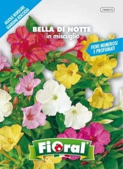 Blumen-Saatgut in Tütchen für Amateur-Verwendung von L'ORTOLANO