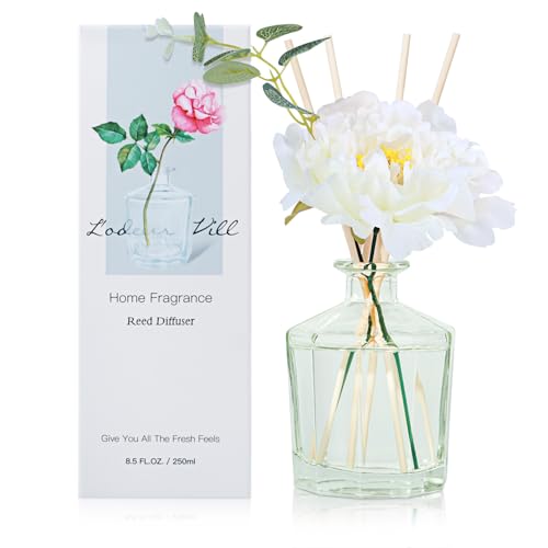 L'odeur Vill Reed Diffuser Set, 8.5 oz(250ml) Vanille duftender Diffuser mit 10 Fragrance Sticks, Home raumduft Duft ätherisches Öl Reed Diffuser für Zuhause Große Zimmer Badezimmer Regal Dekor. von L'odeur Vill