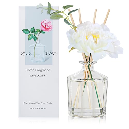 L'odeur Vill Reed Diffuser Set,8.5 oz(250ml) Marokkanischer Bernstein duftender Diffuser mit 10 Fragrance Sticks, Home raumduft Duft ätherisches Öl Reed Diffuser für Zuhause Badezimmer Regal Dekor. von L'odeur Vill