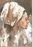 L.C. Wholesaler Ölbild Frau mit Turban 90x120 FRAU MIT TURBAN ca. 90x120 cm in von L.C. Wholesaler