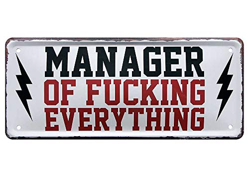 L.E.M.B. Hometrends Blechschild Deko Metall-Schild Fun Vintage Spruch 28cm x 12cm Manager of Fucking Everything von L.E.M.B. Hometrends