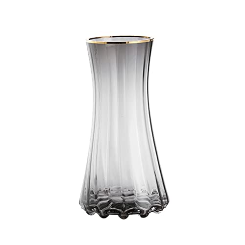 Vase für Dekor Einfache Vasen, Primärfarben-Glasvasen, transparente Blumen auf Wasserbasis, Trockenblumen, Blumenarrangement-Vasen, Wohnzimmer-Teetisch-Blumenvasen(Natural,Klein) von L3s9mPzVb4