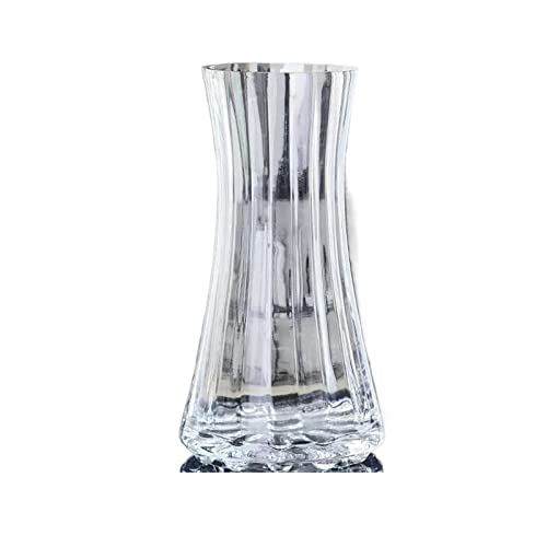 Vase für Dekor Einfache Vasen, Primärfarben-Glasvasen, transparente Blumen auf Wasserbasis, Trockenblumen, Blumenarrangement-Vasen, Wohnzimmer-Teetisch-Blumenvasen(Transparent,Klein) von L3s9mPzVb4