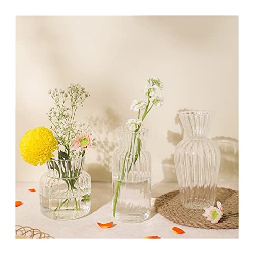Vase für Dekor Kleine Vase aus Glas, Blumenvase, transparent, Tischdekoration, Wohnzimmer, Küche, Teetisch, Blumenarrangement, Wasserkultur, schönes Blumenset Vase für Dekor Kleine Vase aus Glas, Blumenvase, transparent, Tischdekoration, Wohnzimmer, Küche, Teetisch, Blumenarrangement, Wasserkultur, schönes Blumenset von L3s9mPzVb4