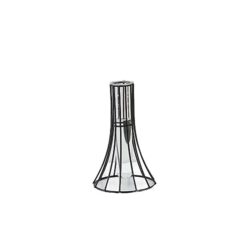 Vase für Dekor Kreative Blumenvasen aus Glas, Wohnzimmerdekorationen, TV-Schränke, Tischplatten, hydroponische Dekorationen getrockneten Eisenblumen(Schwarz) von L3s9mPzVb4