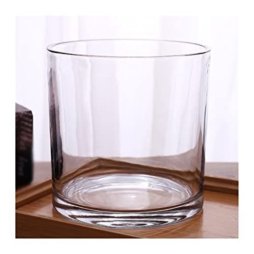 Vase für Dekor Verdickte gerade Röhrenvase, Glasaquarium, zylindrisch, großes Wohnzimmer, Boden-zu-Boden-Blumenvase, Wasser erhöht, Blume, transparentes Glasornament(Groß) von L3s9mPzVb4