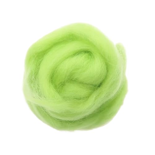 L6NqIAG Wollfaser Wolle Roving Nadelfilzen Handgemachte Spinnerei DIY Handwerk Materialien Werkzeug Nadelfilzwolle(20,50g) von L6NqIAG