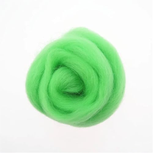 L6NqIAG Wollfaser Wolle Roving Nadelfilzen Handgemachte Spinnerei DIY Handwerk Materialien Werkzeug Nadelfilzwolle(23,10g) von L6NqIAG