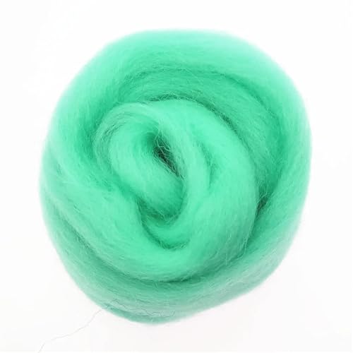 L6NqIAG Wollfaser Wolle Roving Nadelfilzen Handgemachte Spinnerei DIY Handwerk Materialien Werkzeug Nadelfilzwolle(75,100g) von L6NqIAG
